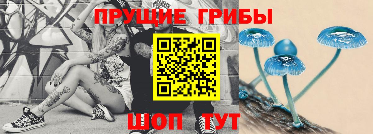 Калач-на-Дону  Псилоцибиновые грибы Magic Shrooms  Псилоцибиновые грибы Magic Shrooms  Вход с VPN 